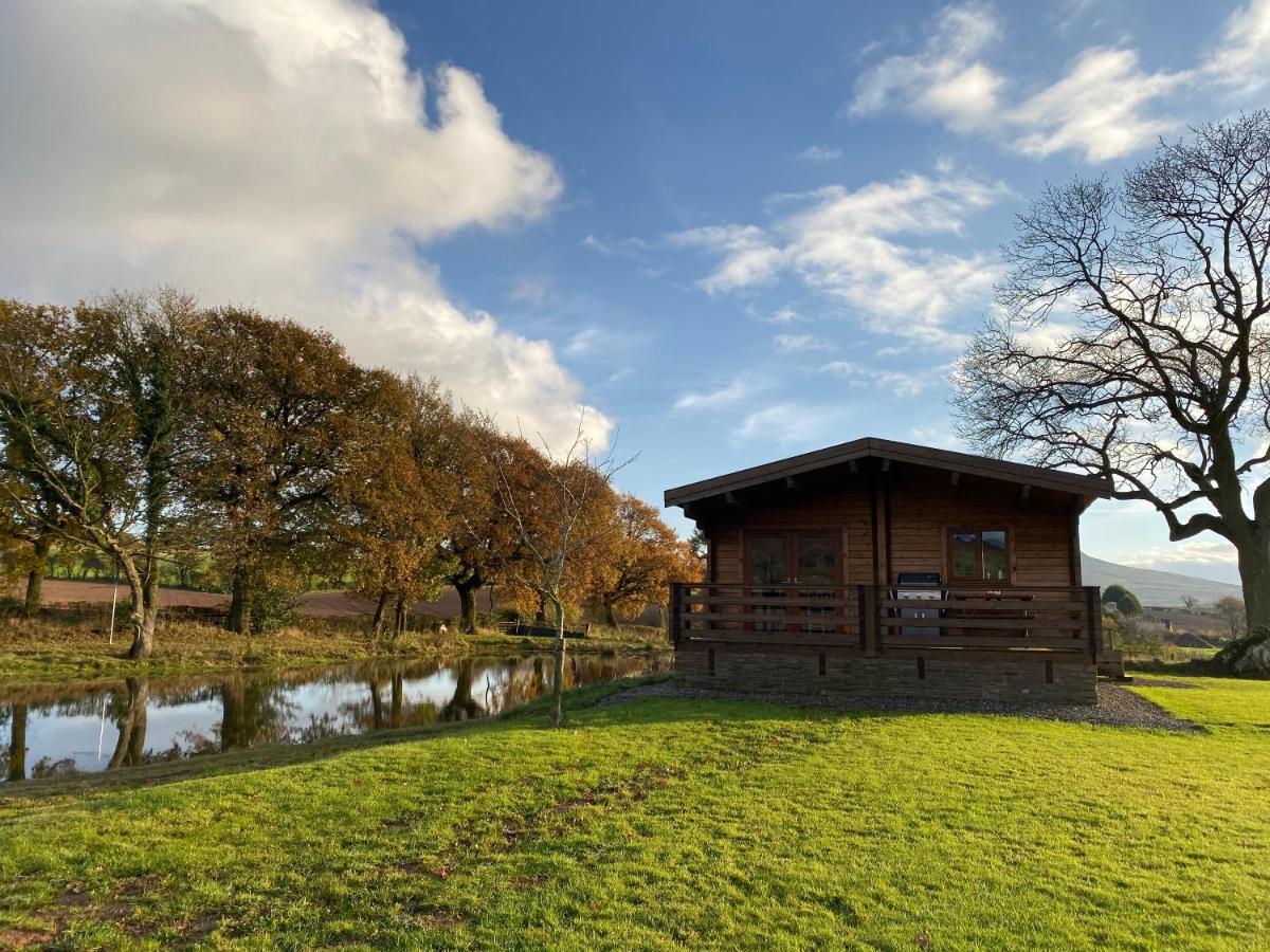 Redwood Lodge Ludlow Exterior foto